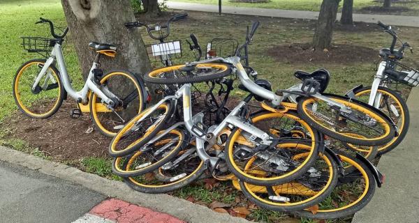 oBike being investigated by police for stealing money